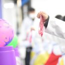 늘푸른태권도 이미지