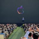 에스씨메디칼 이미지