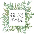 광산구-162 이미지