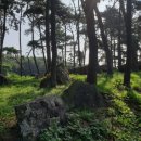 영광 성산리 지석묘군 이미지