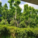 세븐일레븐 홍제카페점 이미지