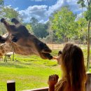 F96 | 베트남 푸꾸옥 여행 완벽 가이드 🇻🇳 건기·우기·날씨표부터 빈펄사파리까지 한눈에 정리!