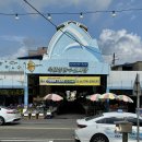 목포종합수산시장 | 내돈내산 목포 홍어 포장 택배 맛집 , 목포종합수산시장 창영상회