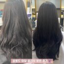[ 구리 인창동 미용실 추천 ] 살롱드미담 가연쌤한테 클리닉 받은 후기 / 주차 무료