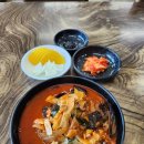 도안반점 이미지