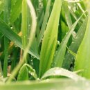 가까운약국 이미지