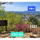 참꽃, 개꽃, 그리고 호접몽 이미지