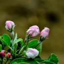 원주농장 이미지