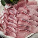 김선장횟집 | 광주 신창동 횟집 김선장 내돈내산 후기 대방어 맛있고 새벽2시까지 영업!