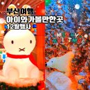 (12/20) 유아_크리스마스 꽃꽂이 | 부산 크리스마스 아이와 가볼만한곳 12월 행사 정보 2025
