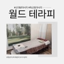 뉴캐슬테라피