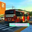 포산고등학교 앞 이미지