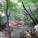 대성암 갈림길 이미지