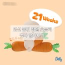 제일중기 | [임신일기#18] 임신 21주 중기 정밀 초음파 검사 후기 (분당제일여성병원)