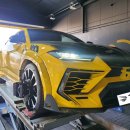 타이어몽 이미지