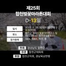 합천공설운동장 축구장 | 2026 합천벚꽃마라톤 일정 총정리 🌸 코스 / 주차 / 셔틀 안내