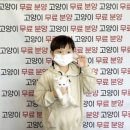 네코스토리 - 강동구 양재대로102가길 50 | 네코스토리