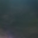 용호동 섶자리 이미지