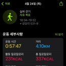 숲속의다이어트캠프 이미지