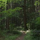 약용식물관리사 이미지