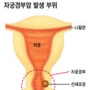 경부
