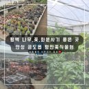 평안꽃식물원 이미지