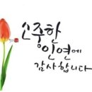 원더플 주식회사 이미지