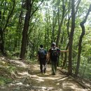 매봉약수터 이미지