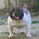 ZANYCAMP(재니캠프) 이미지