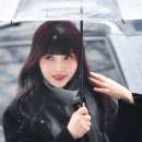 쌍수농장 이미지