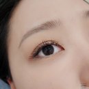 하이네일래쉬 | 일산 마두역 속눈썹 연장 잘 하는 곳 추천 에그래쉬앤네일 방문 후기