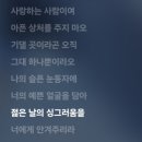 리리클로버 | 250614 도영 솔로 콘서트 <DOORS> 중콘 후기 :: 우연히 마주친 네잎클로버 같던 하루