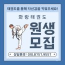 화랑합기도장 | [공지] [방문후기 2탄] 화랑 합기도태권도 발차기 / 피구 게임 / 어린이 축구
