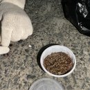 죽림낚시 이미지