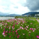 낙동강변9 이미지