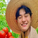 스위트프룻