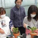 쌍백농장 이미지