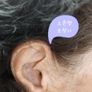 행신동물의료센터 | 행신보청기 벨톤 인비전17, 프로모션으로 구입한 후기