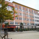 천호초등학교 Daum카페