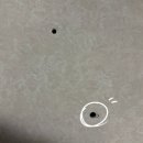 우미 린 센트럴파크 이미지