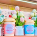 예산중앙초등학교 이미지