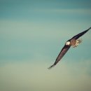 국토보상 행정사 사무소 이미지