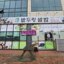 밭두렁 | [전주 맛집] 신선함이 가득한 쌈밥 전문점, '밭두렁 쌈밥' 방문 후기