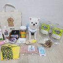 주식회사 허그독 | [펫박람회] 2022년 09월 하반기 서울펫쇼 관람후기(학여울역 세텍 전시관)