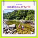 양양 계곡 캠핑장 찾는다면 비발디캠핑파크 설악오색점 추천