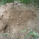 어미들 농장 이미지