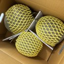 모실농장 이미지