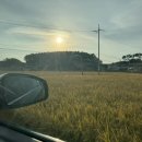 근흥면 궁틀길 충남 네이버블로그
