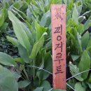 쌍암농장 이미지