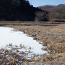 호3통 네이버블로그